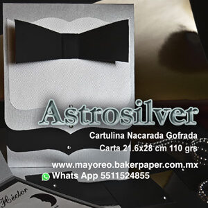 Astrosilver Mayoreo