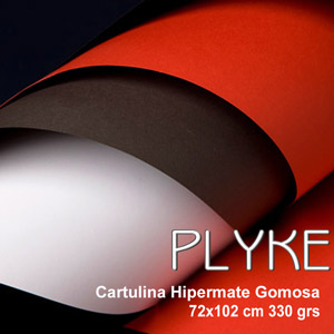 Plyke 330grs. Mayoreo Bakerpaper