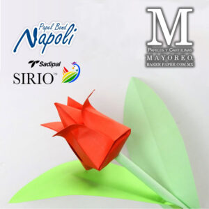 Napoli 80/75 g. Mayoreo