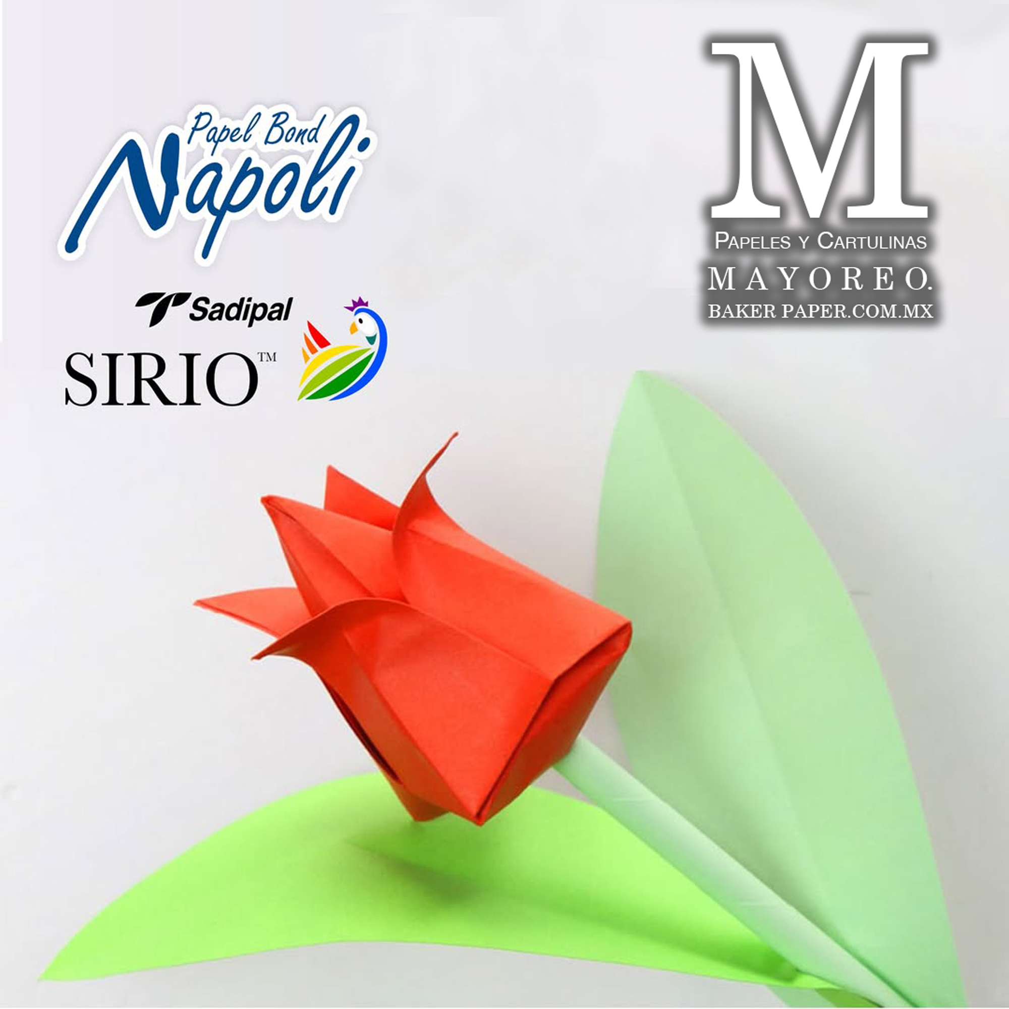 Napoli 80/75 g. Mayoreo